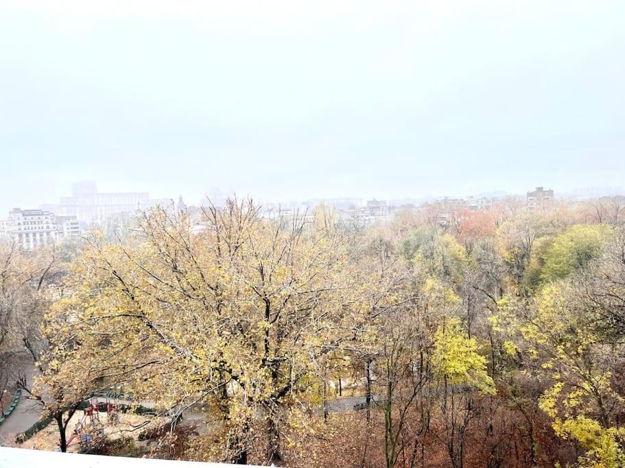 부쿠레슈티 Panoramic Lil' Paris 아파트 외부 사진