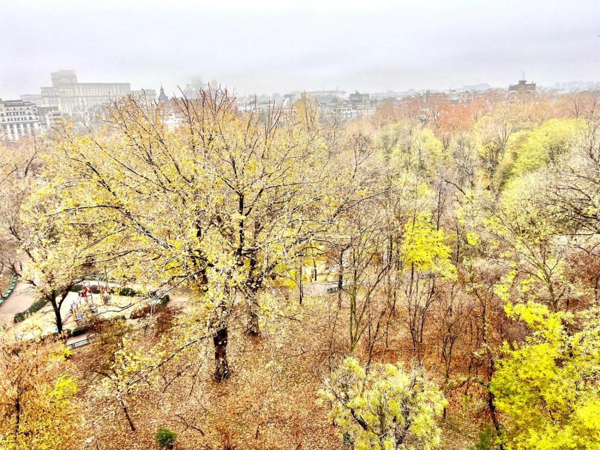 부쿠레슈티 Panoramic Lil' Paris 아파트 외부 사진
